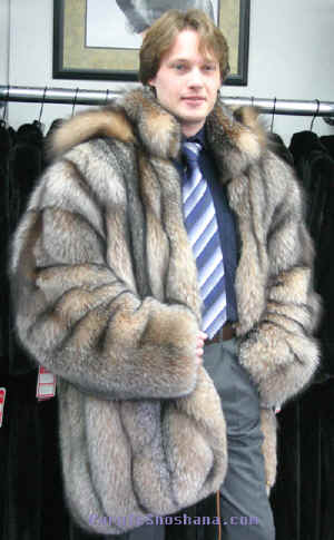 FoxCrystalmalehoodside4000.jpg (66403 bytes)