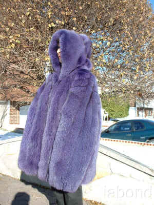 purplefoxjacketmans010.jpg (312626 bytes)