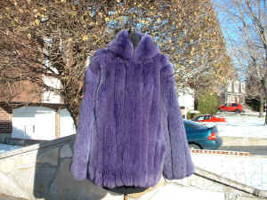 purplefoxjacketmans02.jpg (301569 bytes)